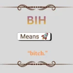 BIH Meaning in Text