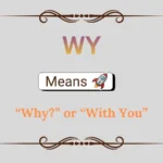 WY Meaning in Text