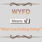 WYFD Meaning in Text