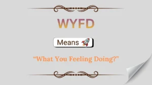 WYFD Meaning in Text