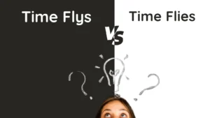 Time Flys or Time Flies