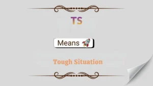 TS in Text Meaning